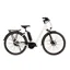 Raleigh Motus Tour Hub Gear Unisex Bosch Electric Bike White